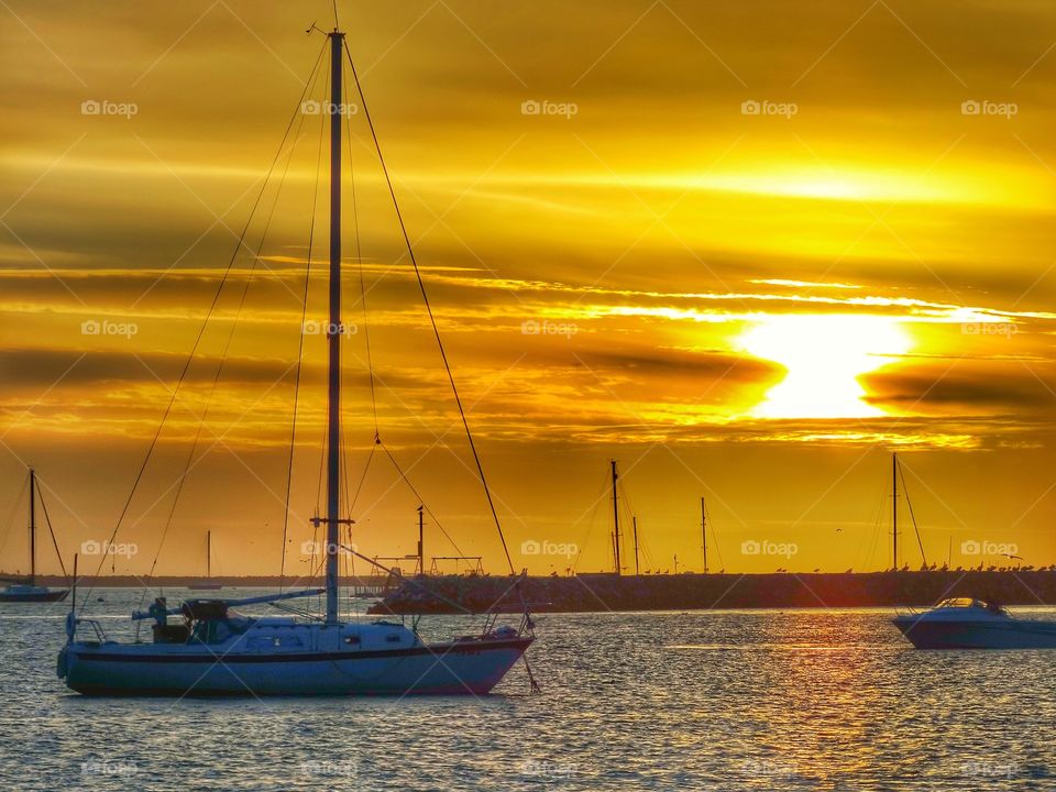 Sailboat In The Golden Hour. Peaceful Harbor At Sunset
