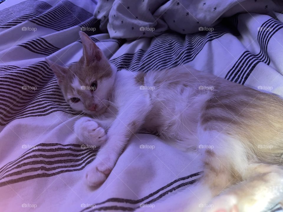 Blue tone lighting for my handsome model