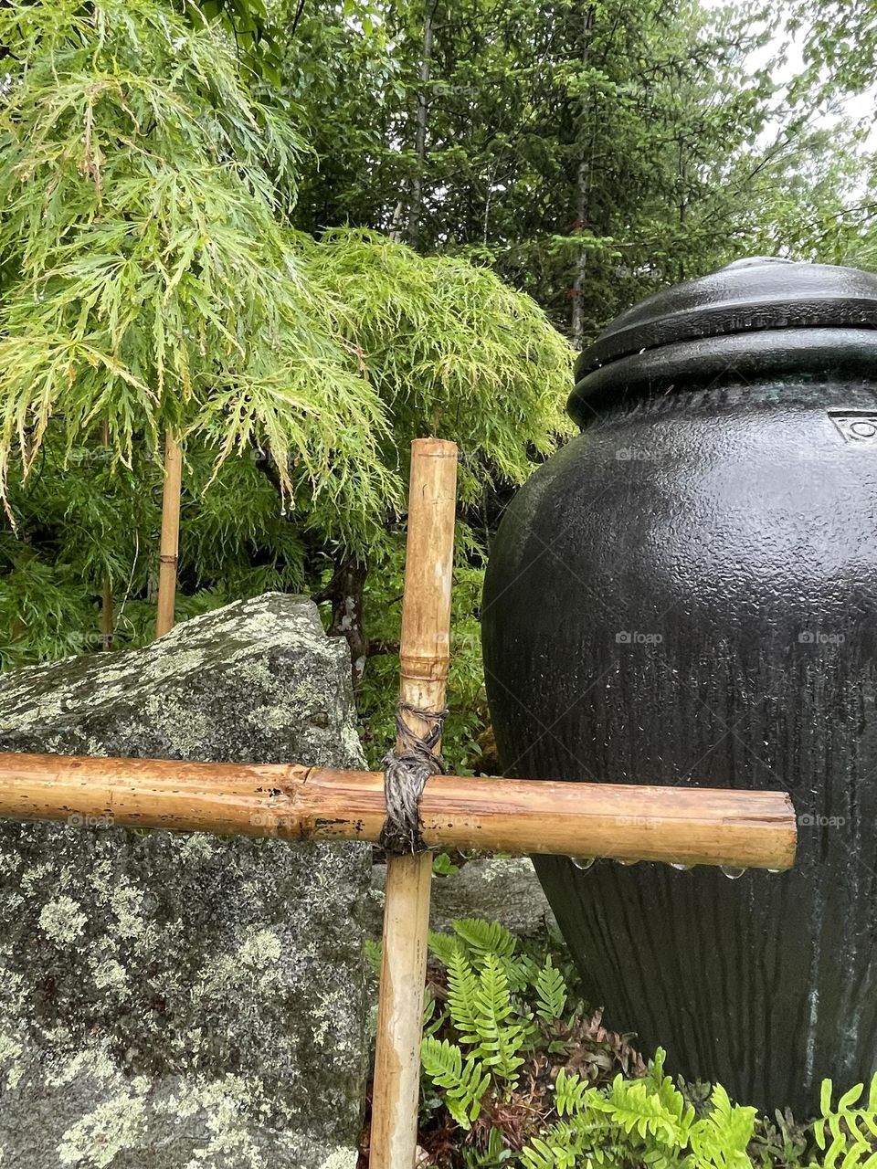 “Japanese inspired garden.”  A decorative urn, bamboo and stone at the botanical gardens.