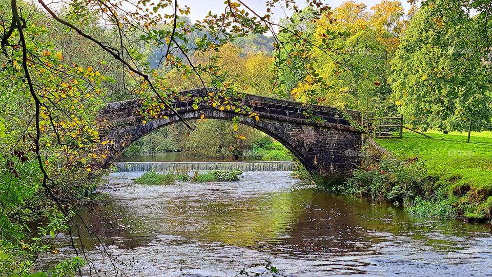 autumn view of trees and bridge 🍂