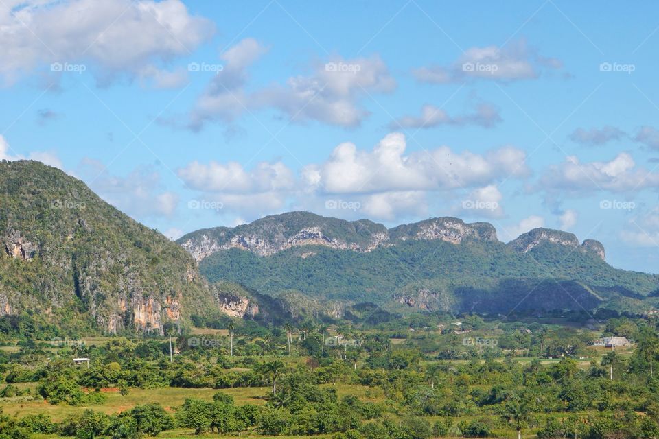 Cuban Landscape