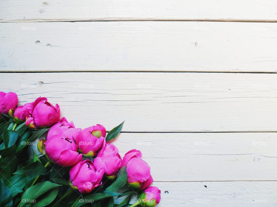 flowers in a vase