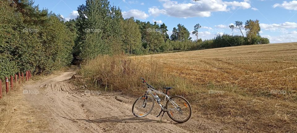 one bike on a rural road beautiful nature landscape