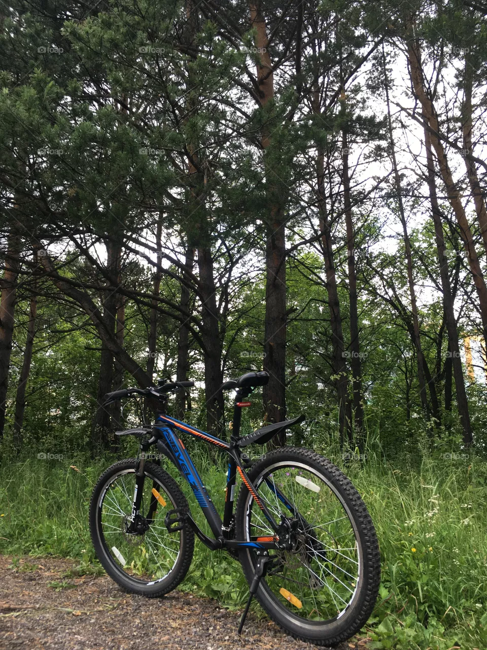 Bike 