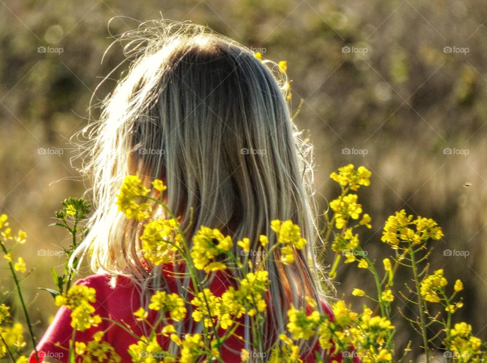 Sun Shining Through Blond Hair. Young Girl In The Golden Hour
