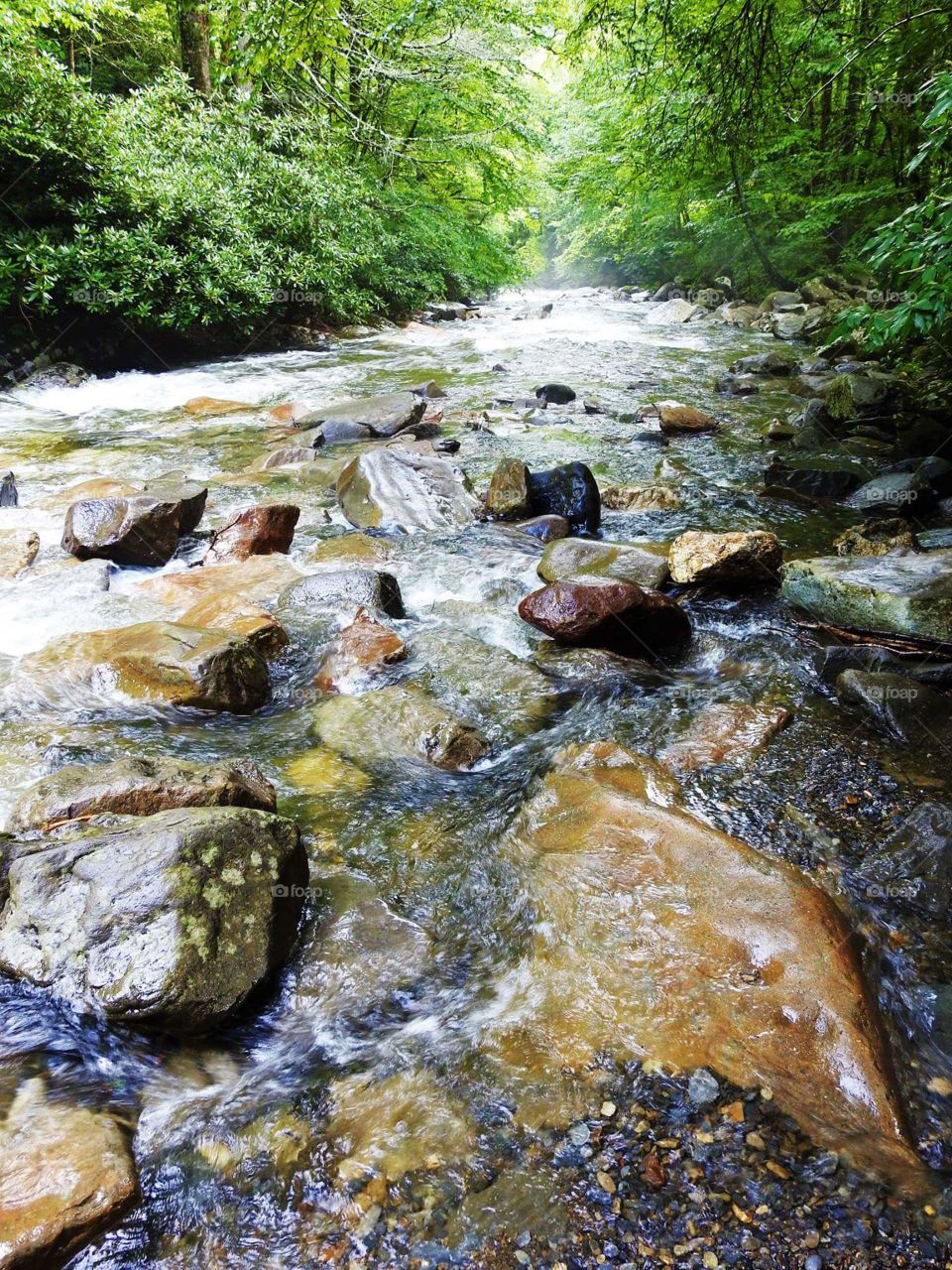 A creek near Natural Bridge.