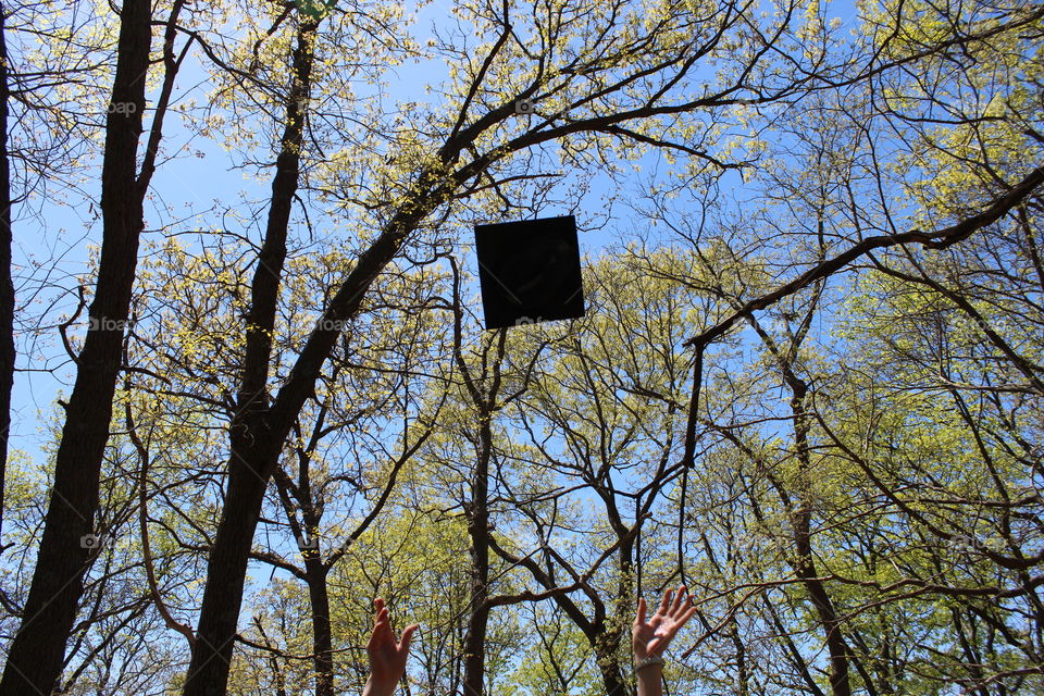 Graduation Cap Thrown in the Air