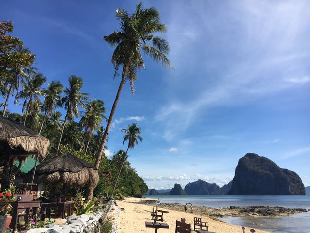 Tropical summer