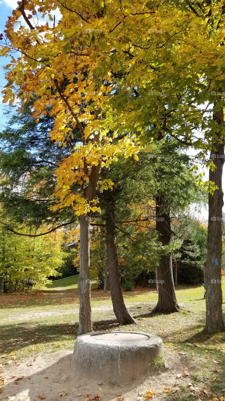 Leaves are changing