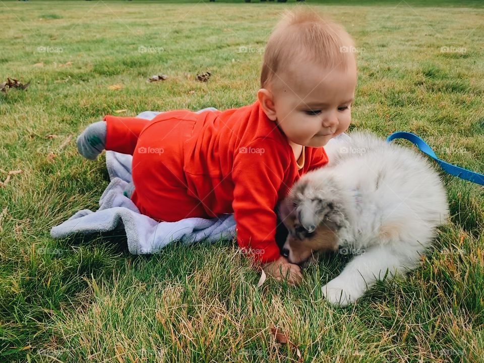 Child playing with dog