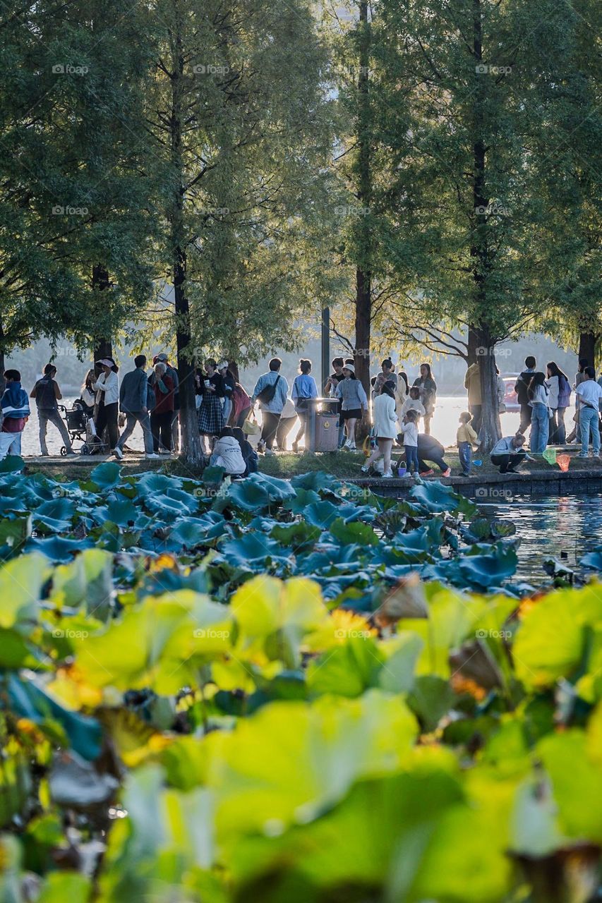 Full of people on the lake side in the late afternoon