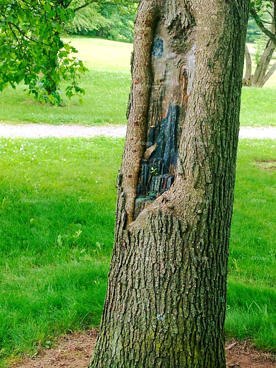 Art on a tree. Someone made a city scape on this live tree