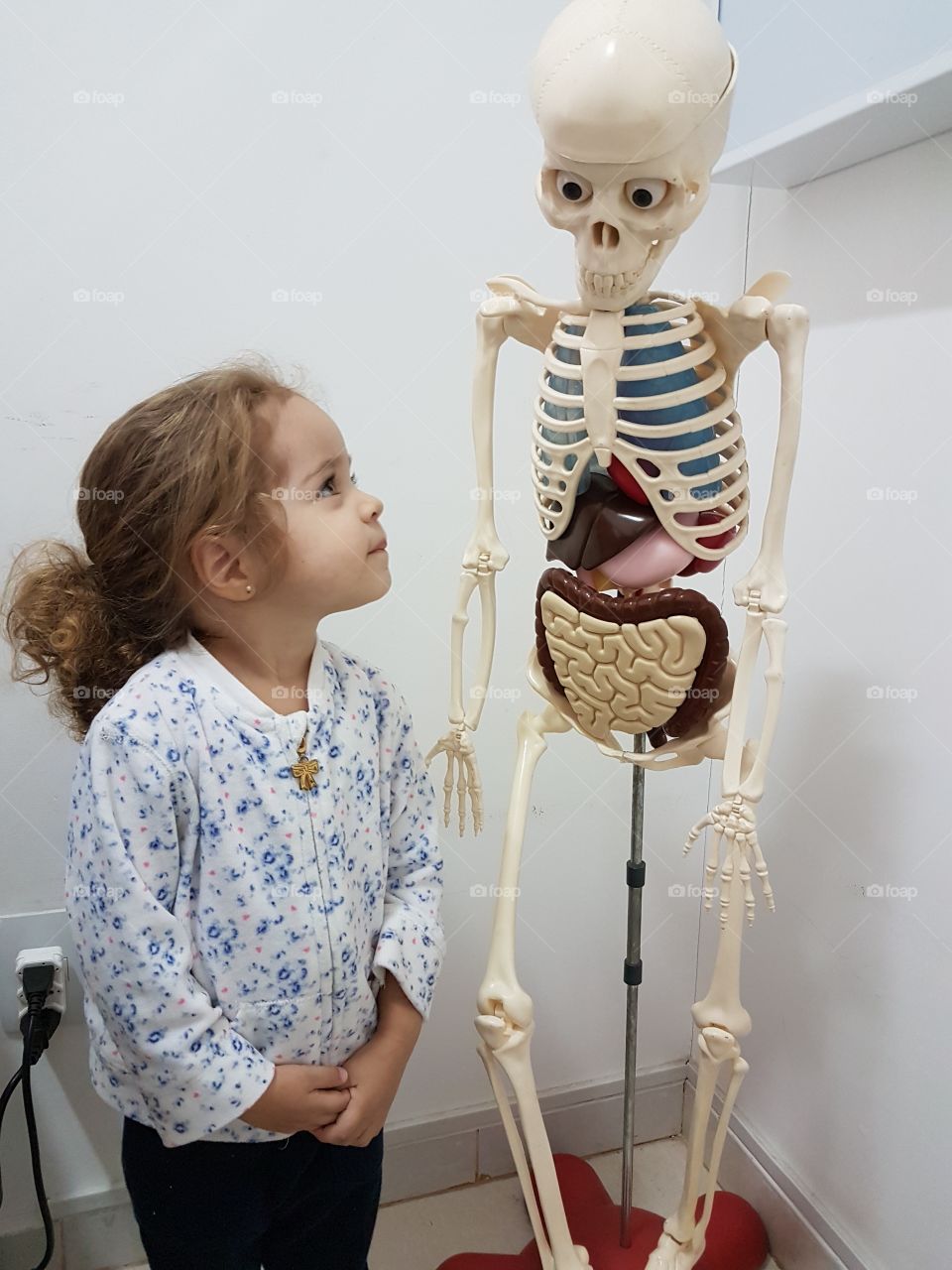 child, student, skeleton