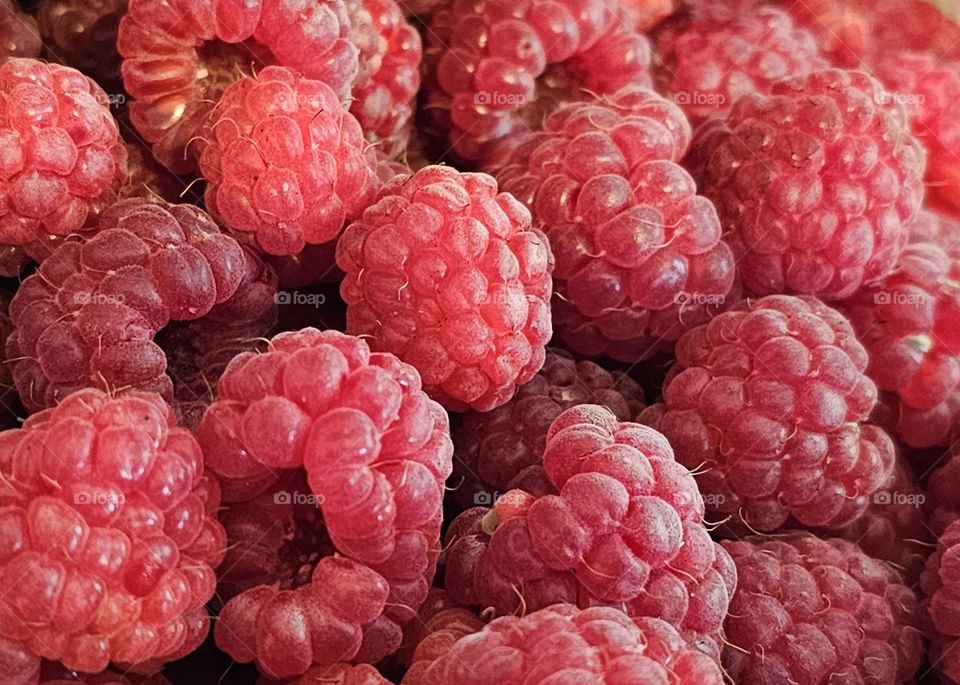 Raspberries