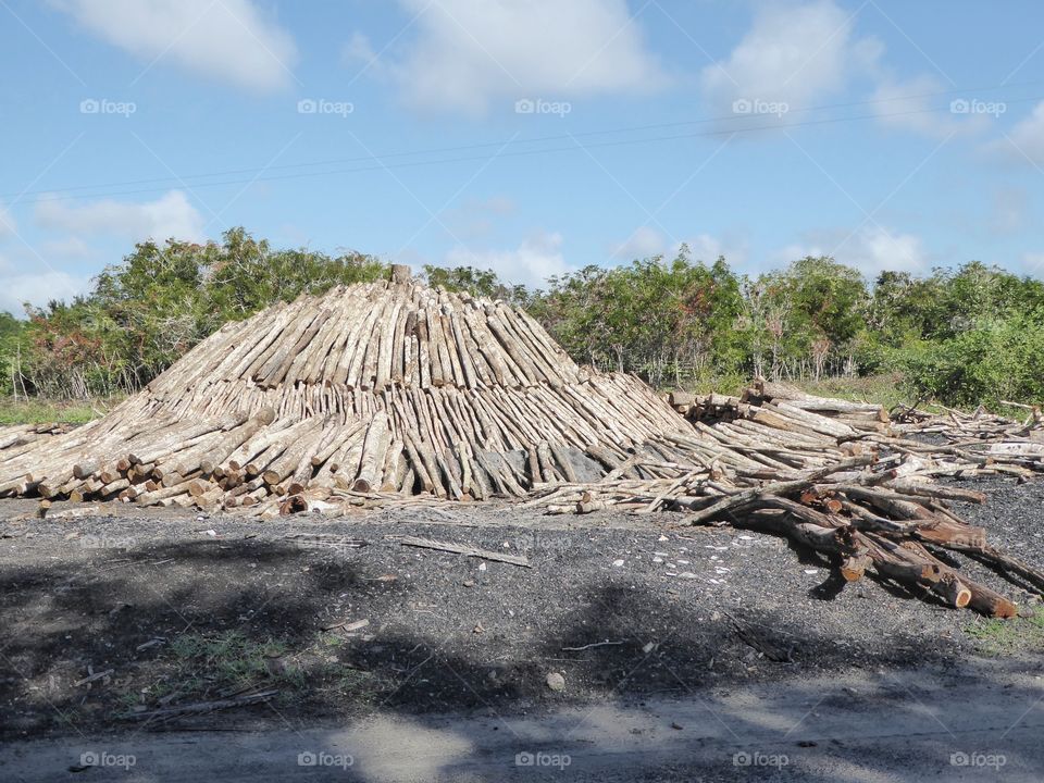 Charcoal production in Cuba