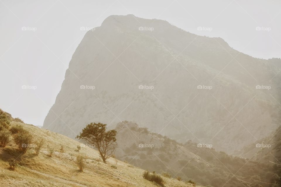 Mountain landscape at sunset. Crimea