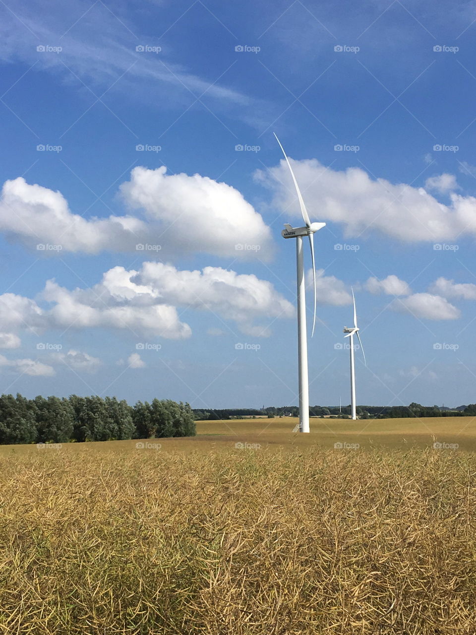 Wind turbines in Skåne, Sweden.