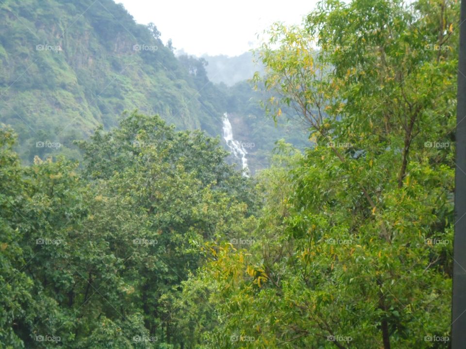 waterfall and nature view