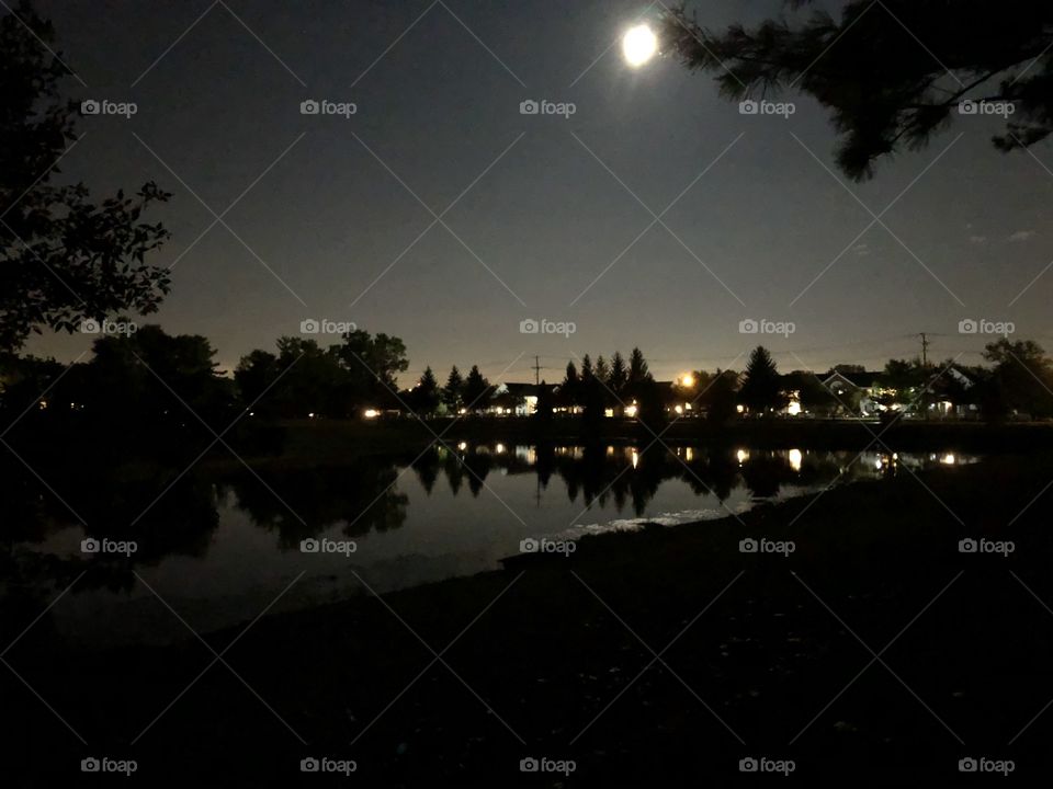 Moon and Pond