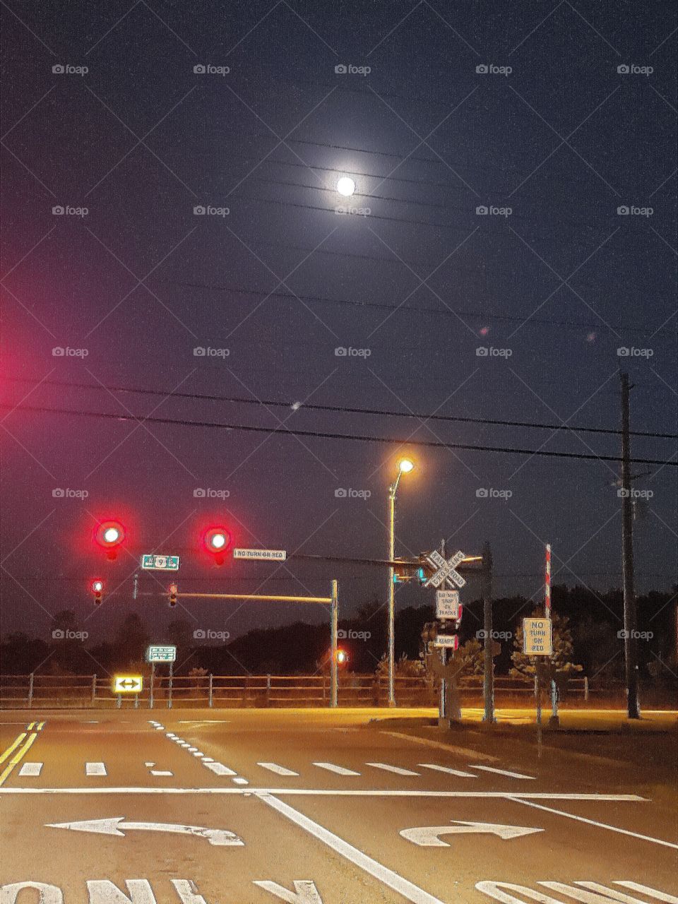 full moon night light