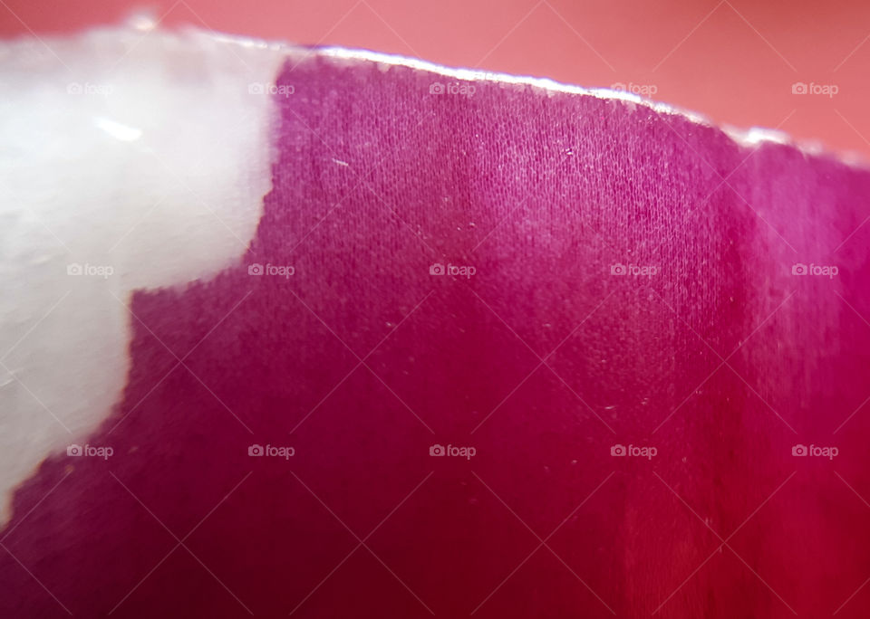 macrophoto of red onion made with phone