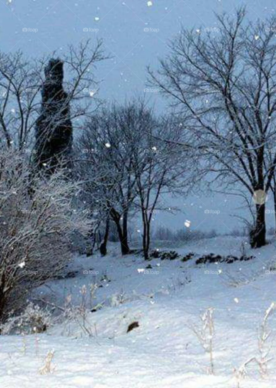 snowfall