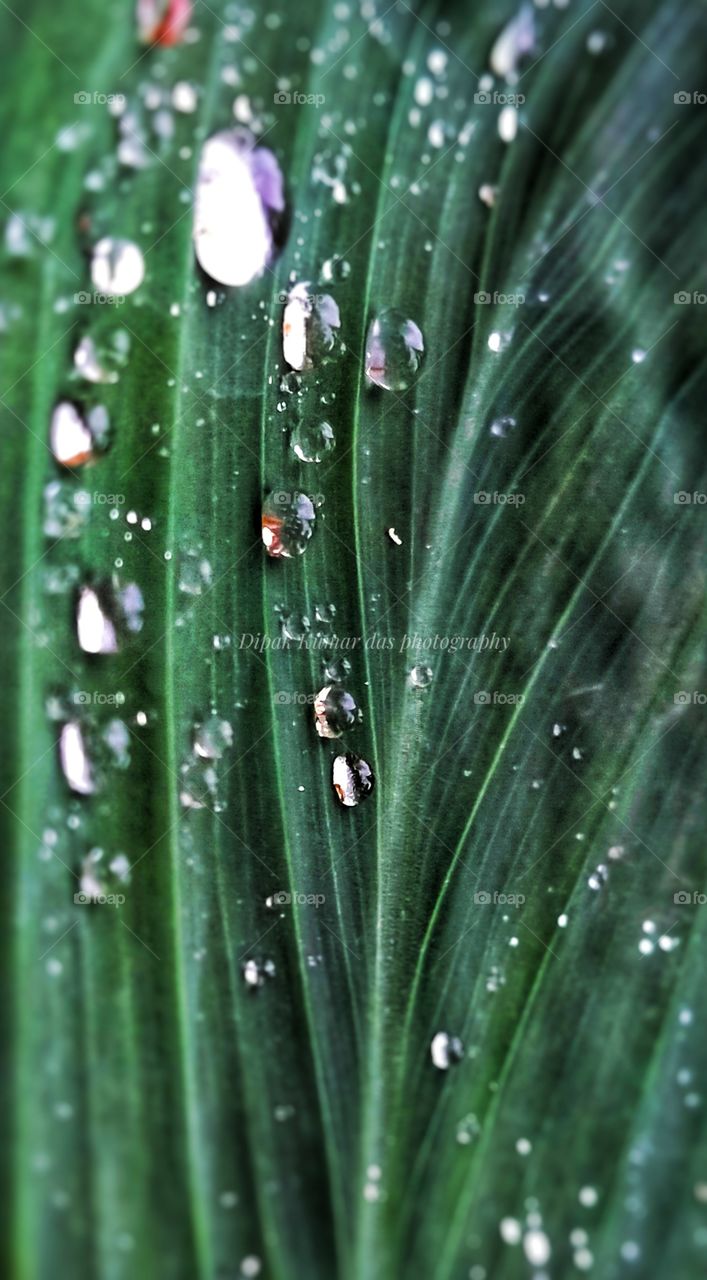 water drops