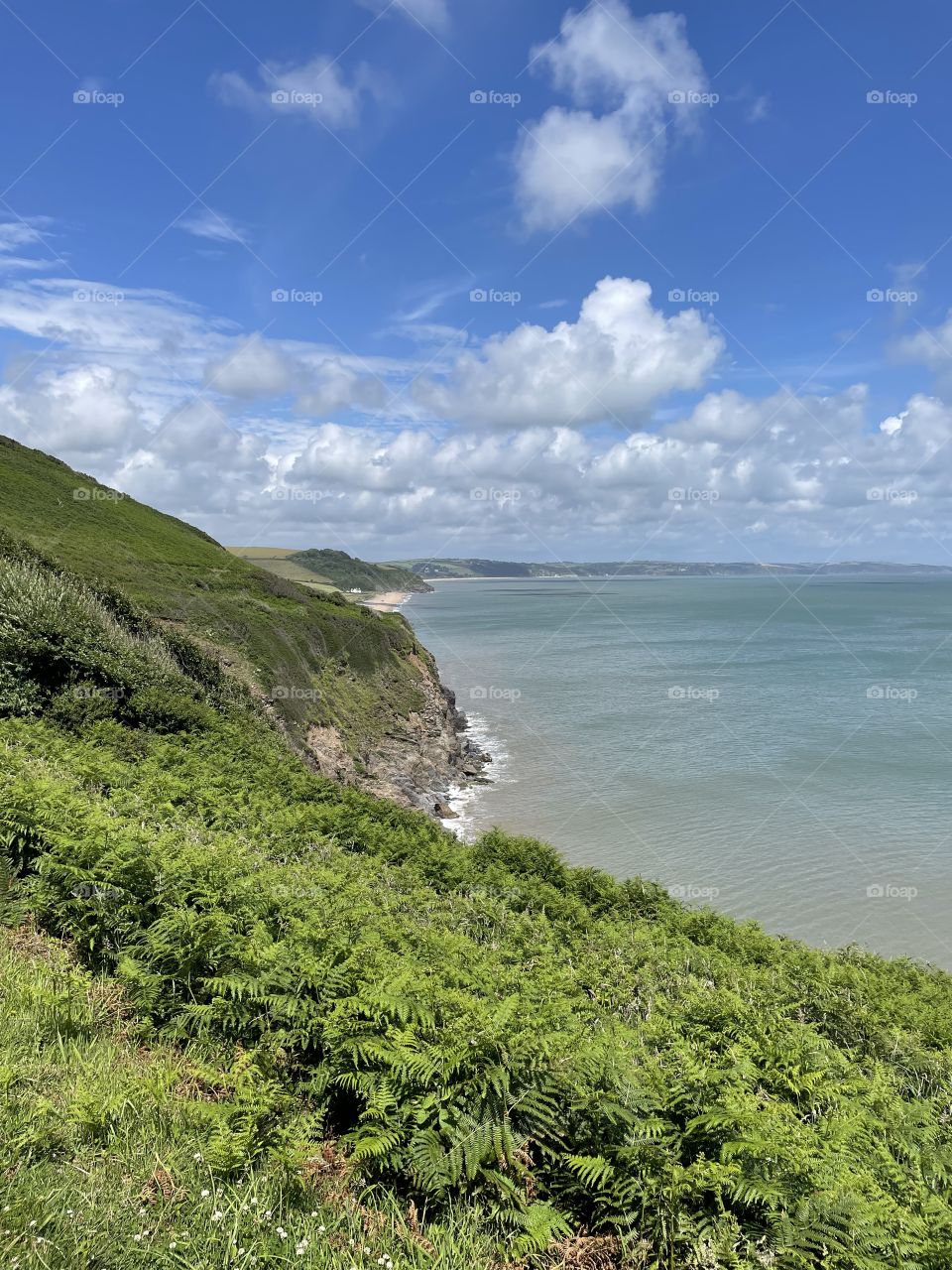Devon Cliffs