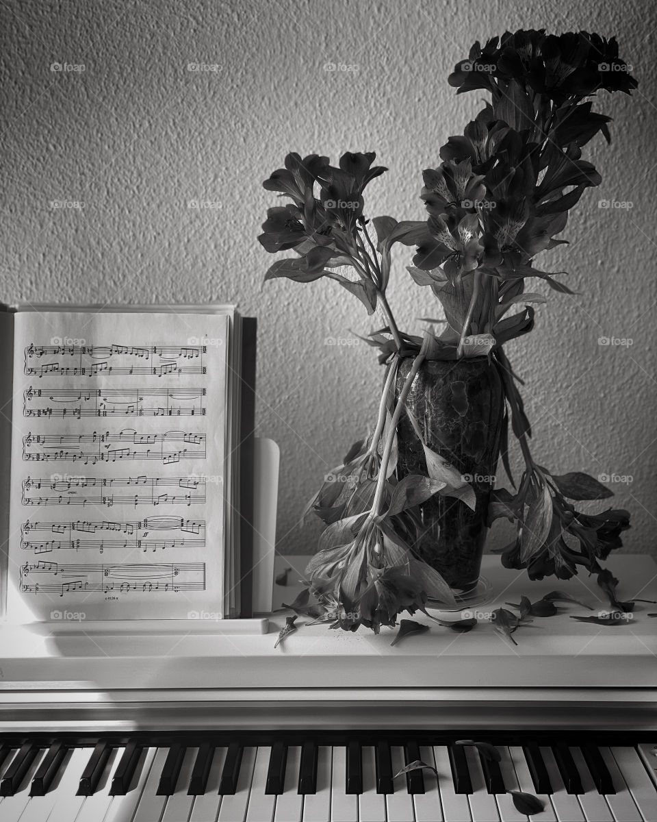 Music. Piano. Sheet notes. 