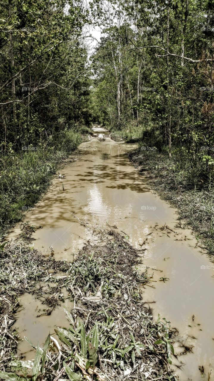 muddy dirty road