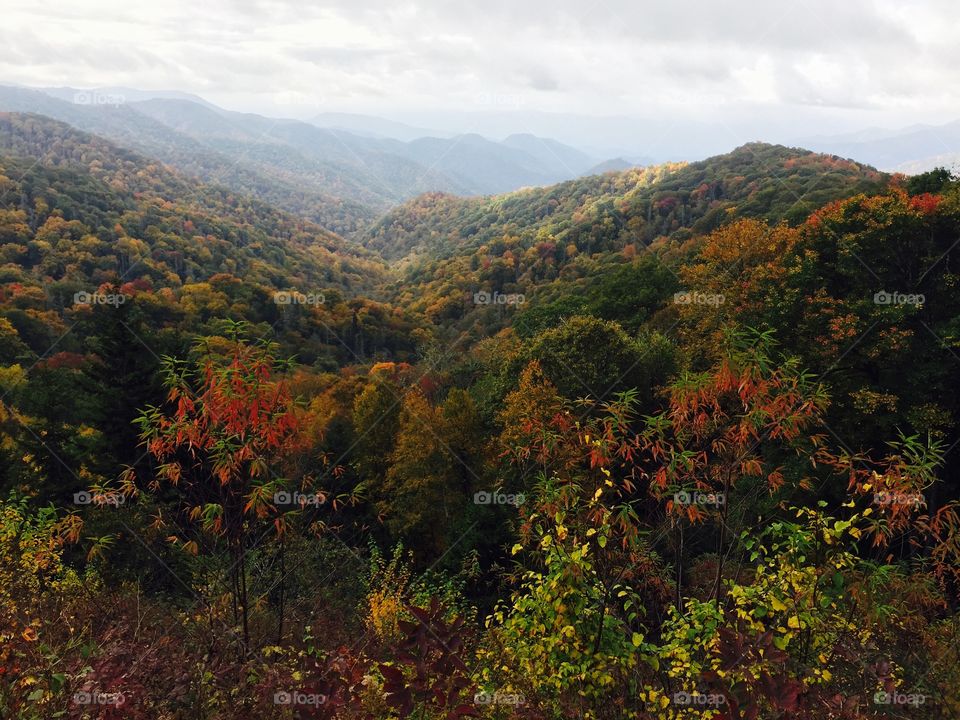 View of mountains in autumn