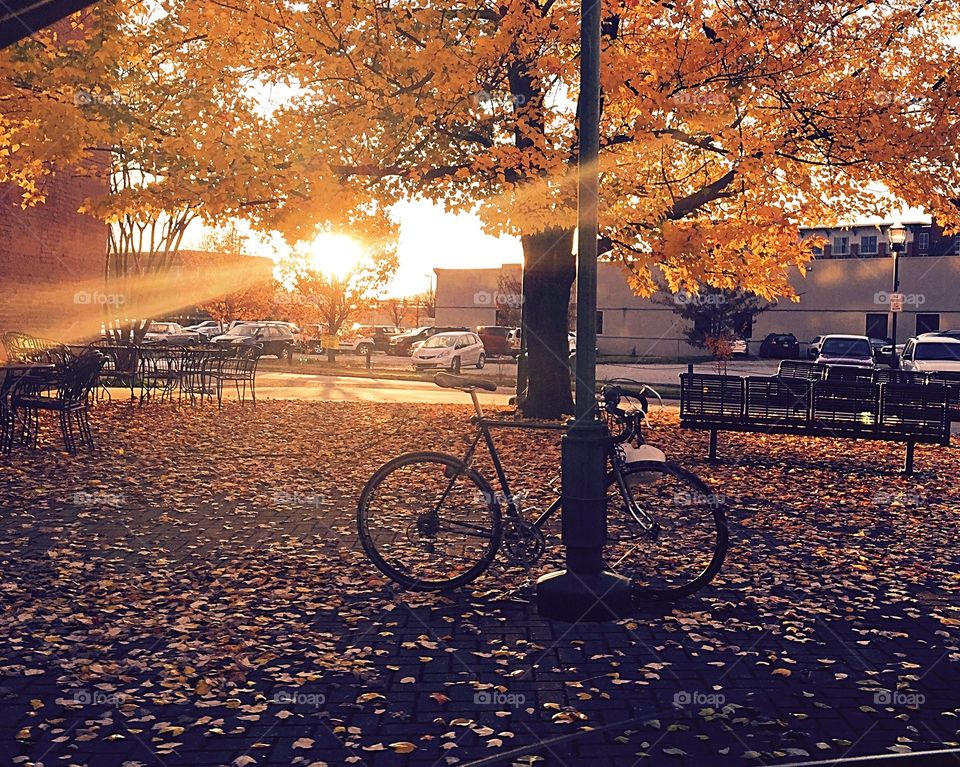 Bicycle in city at sunset in autumn