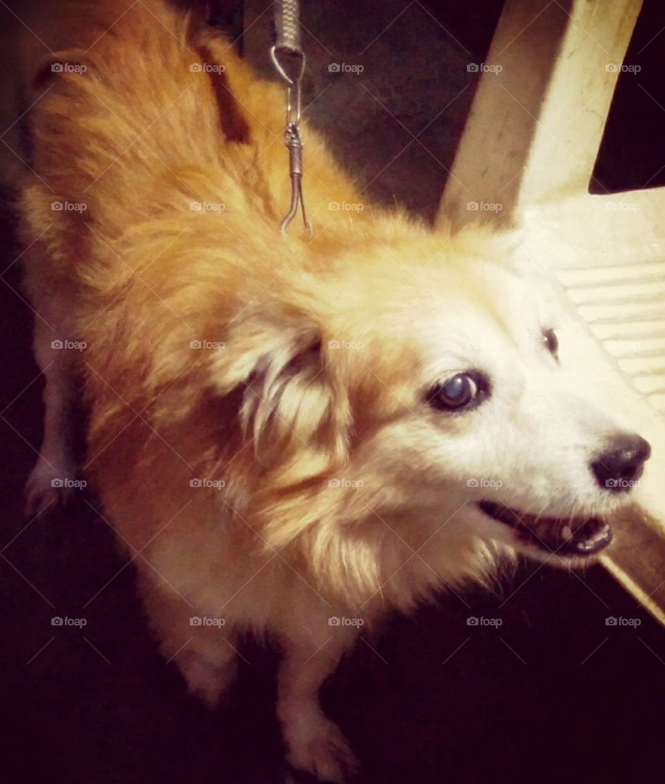 Puffy posing in front of the camera