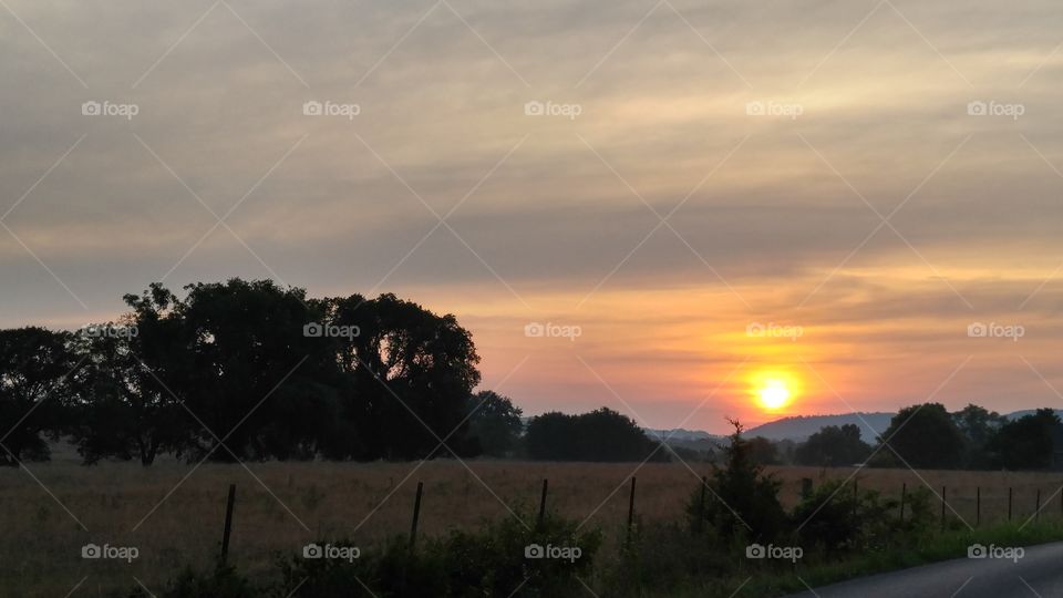 Landscape, Sunset, No Person, Tree, Dawn