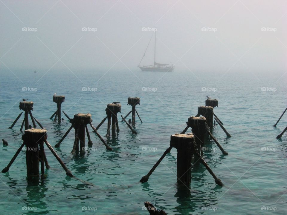 Dry tortugas key west