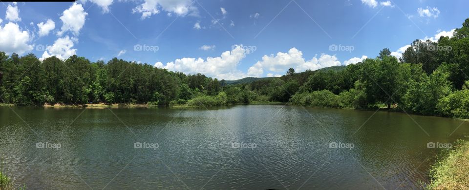 Water, Lake, River, Reflection, Tree