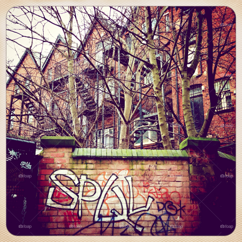 graffiti trees steps by frompaul
