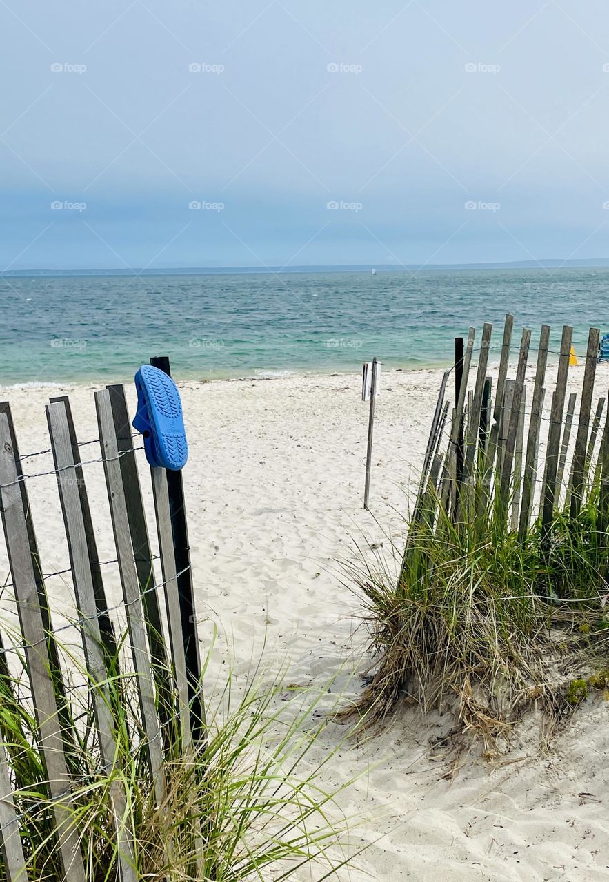 A short opening between the sand fence and beach grass, leading to a quiet Cape Cod shore. The sun shines bright, the ocean sparkles, and the breeze invites you to relax, sunbathe, and dip into the refreshing Atlantic on a perfect June day.
