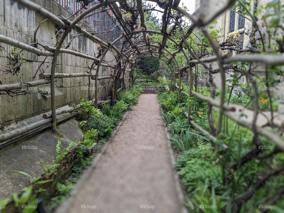 A curved trellis creates a tunnel with a paved walkway going through the middle. Plants growing to the side of the path, but not much on the trellis