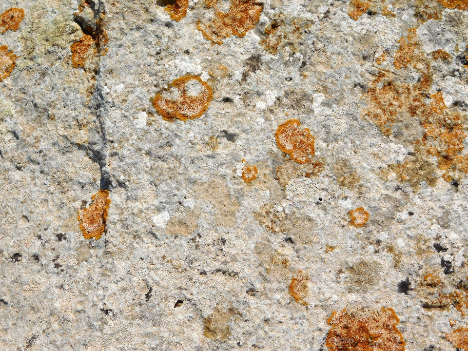 stone texture