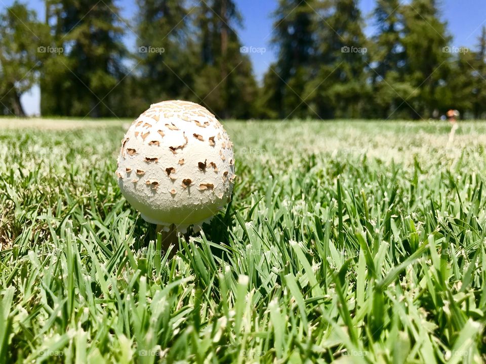 Alone in the cemetery 
