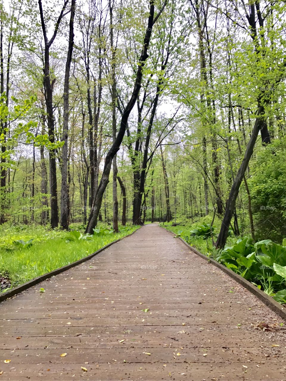 Veteran's Park, Mentor, Ohio