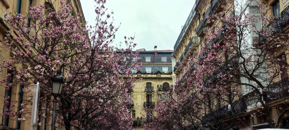 Ciudad de las texturas