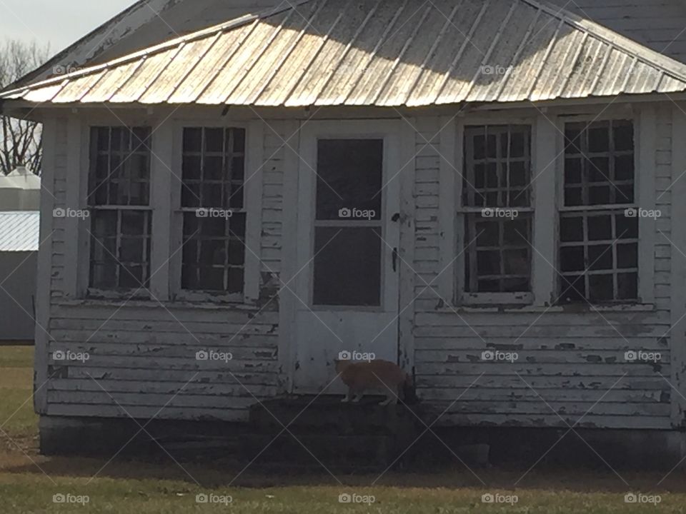 House, Home, Window, Family, Architecture