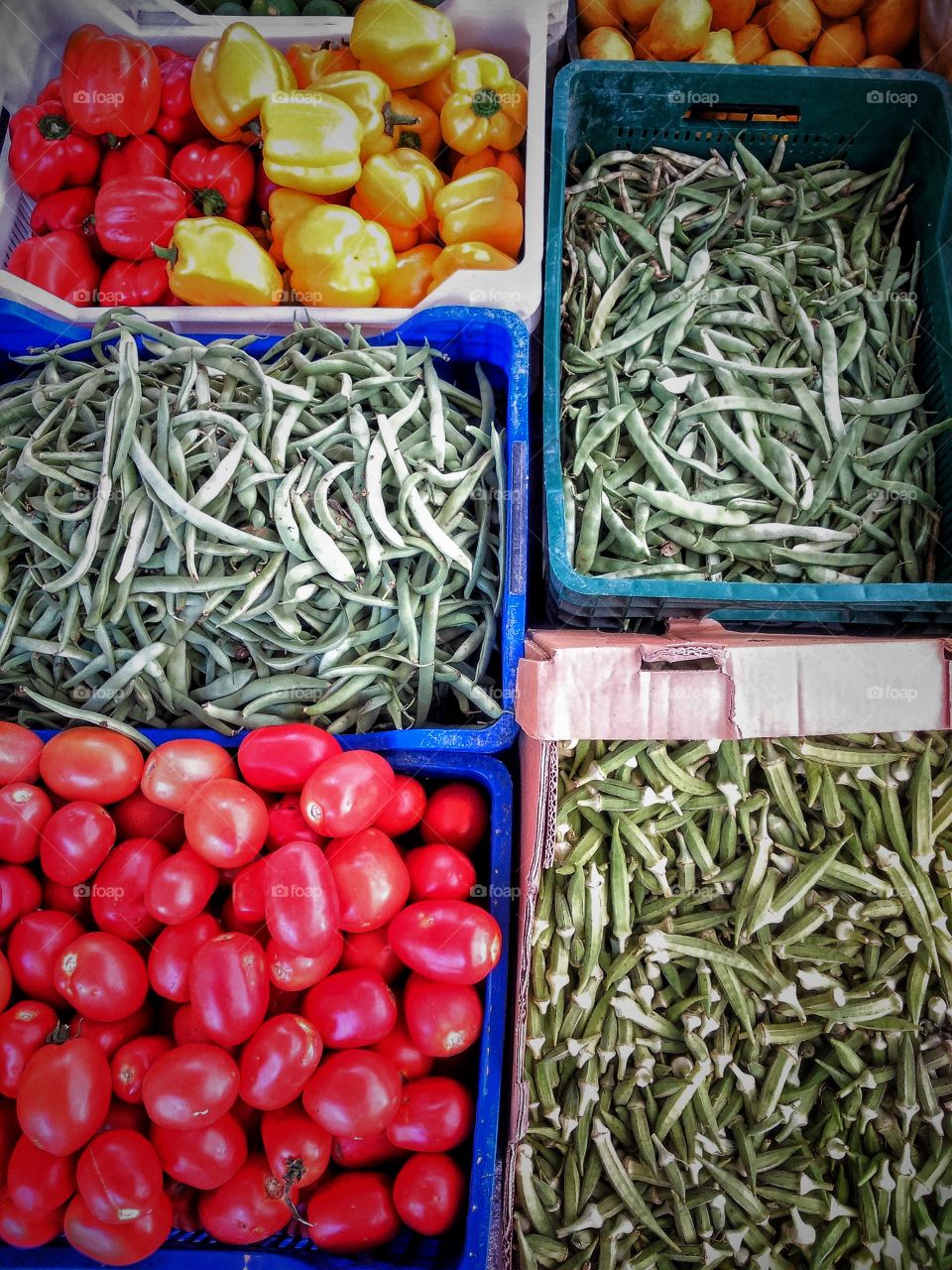 Colours of the food