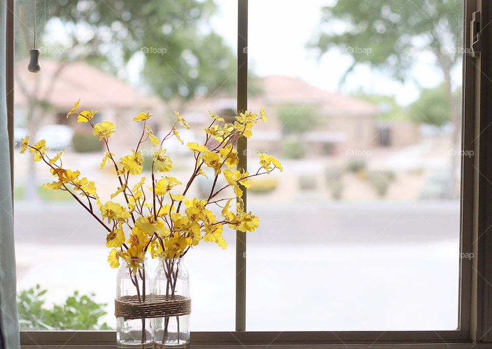 Flowers on the window sill