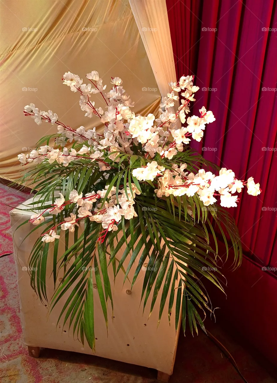 flowers