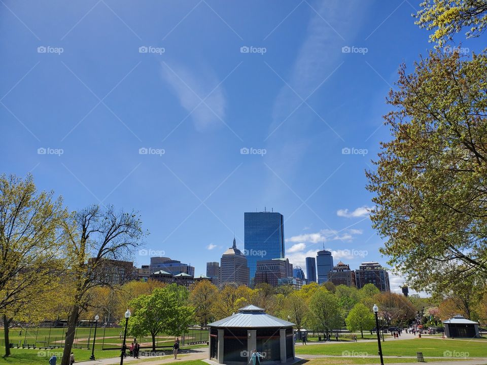 A small piece of Boston's Skyline, behing The Public Garden. Peaceful.