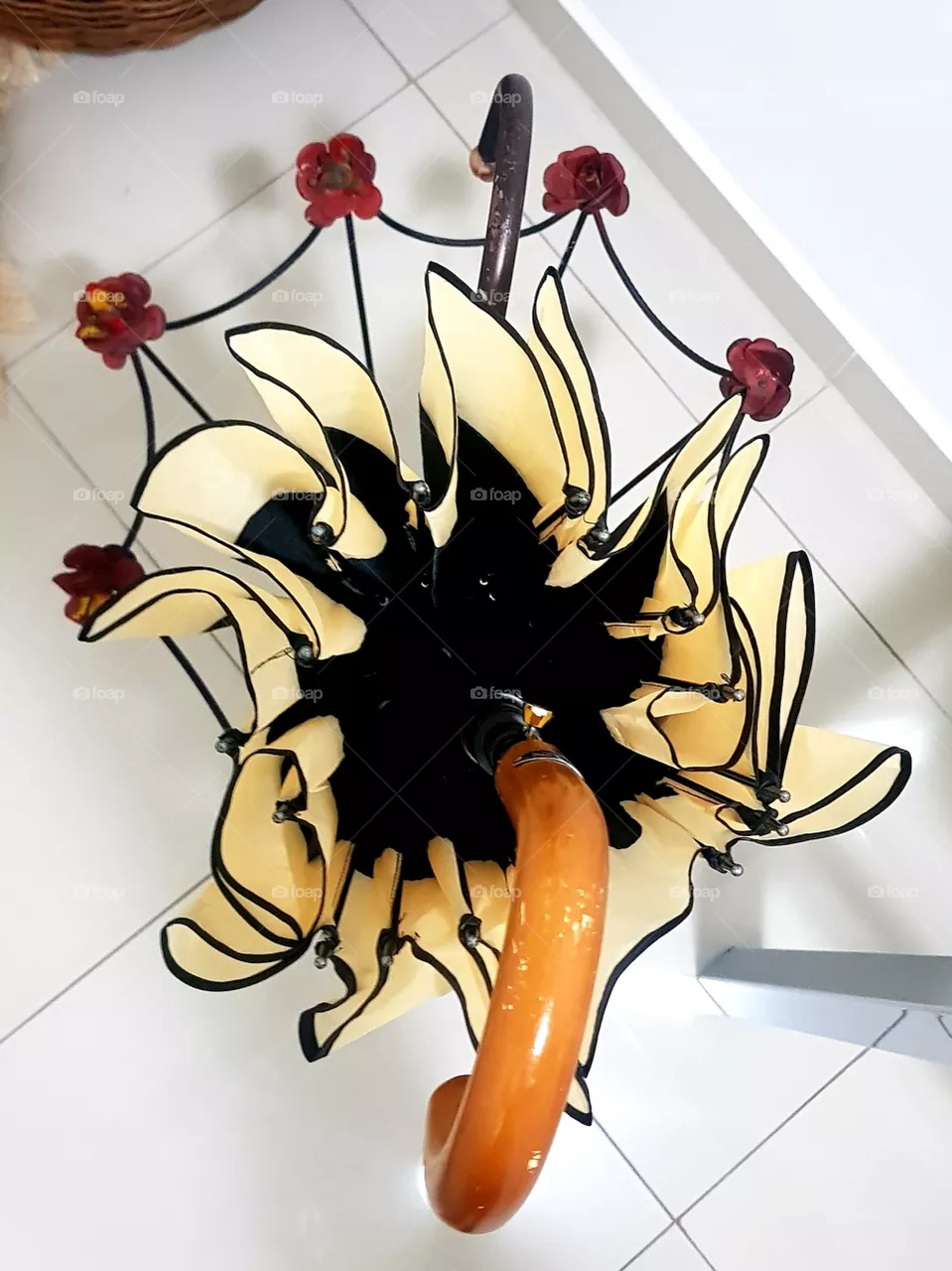 umbrella