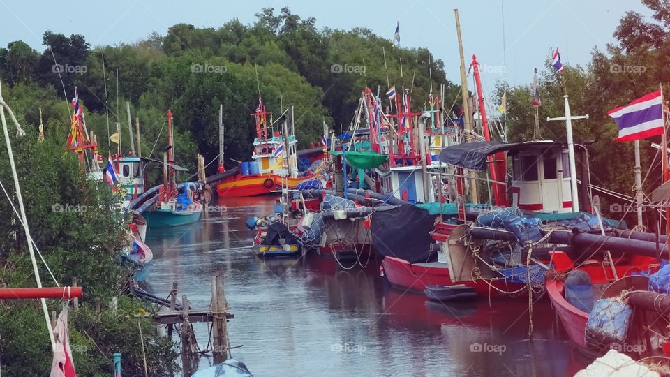 fishing boats, boat, เรือประมง. fishing boats house in canal to sea